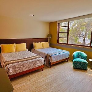 Habitaciones Coyoacan (UNAM)